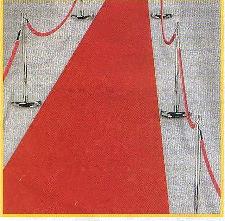 Where to rent GRAPHITE CARPET in Denver NC