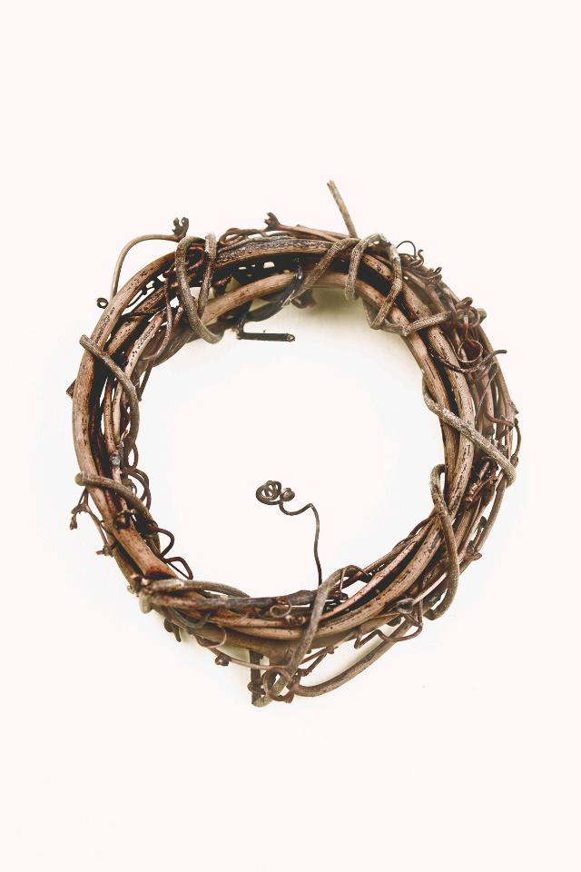 Rental store for NAPKIN RING GRAPEVINE in Denver NC