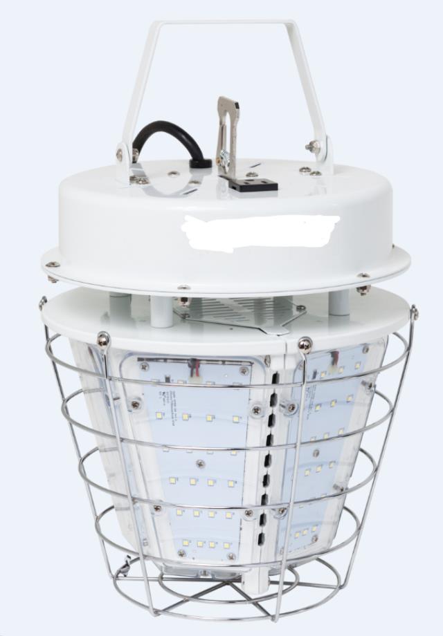 Where to rent LED TENT LIGHT 120 WATT in Denver NC