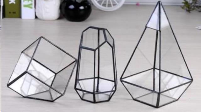 Rental store for GEOMETRIC TERRARIUM BLACK SUB in Denver NC