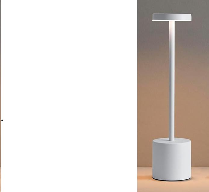 Where to rent LIGHT Table mini lamp in Denver NC