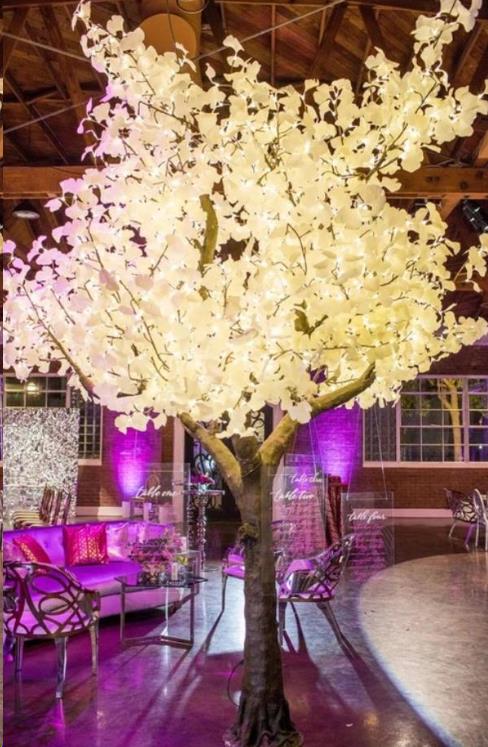 Where to rent TREE 9FT W  LIGHTS in Denver NC