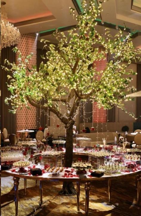 Where to rent TREE 12FT W  LIGHTS in Denver NC